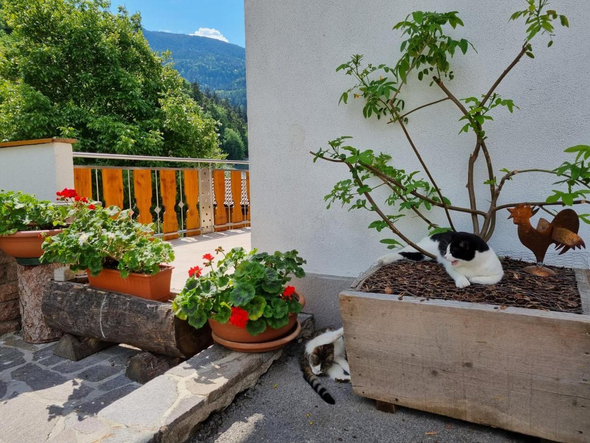 Ferienwohnungen Koflerhof Castelrotto Eksteriør billede